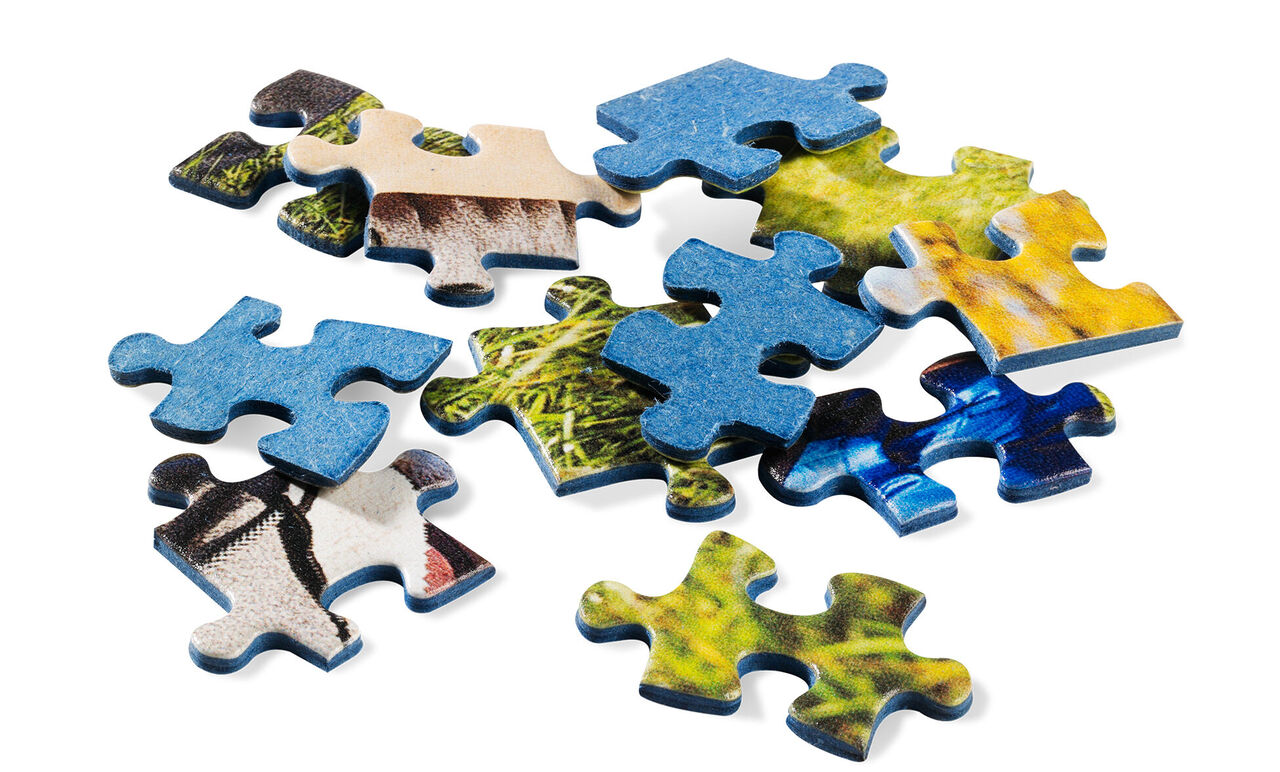 Pièces de puzzle colorées avec des motifs naturels sur fond blanc