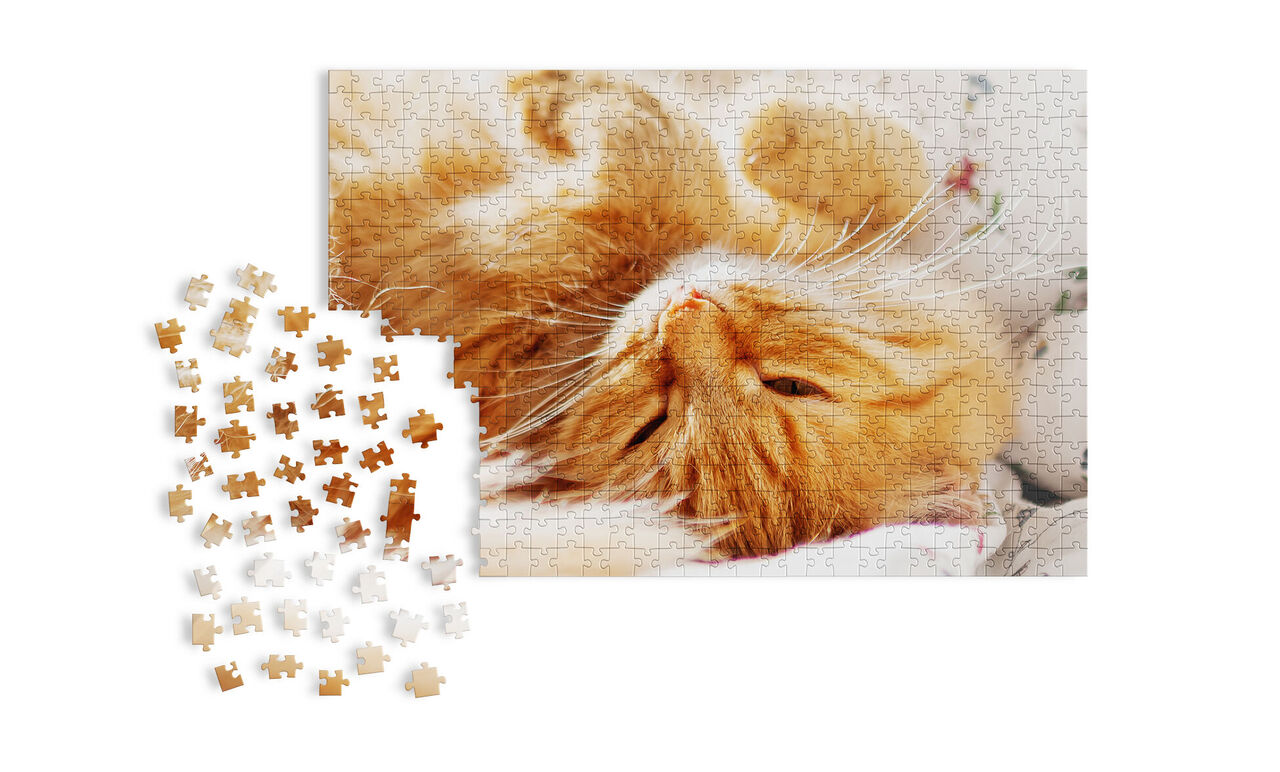 Un puzzle de chat jaune est sur une table, quelques pièces sont à côté.