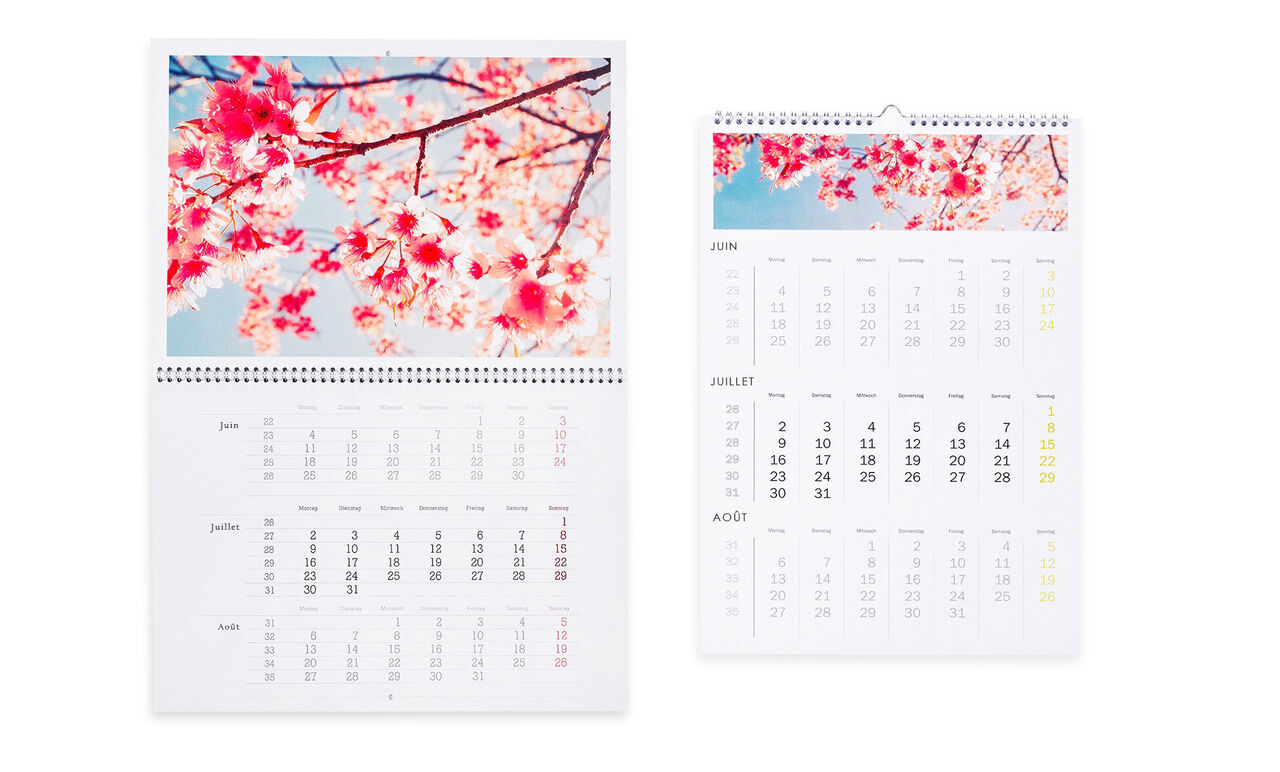 Un joli calendrier photo avec des fleurs de cerisier et les jours du mois.