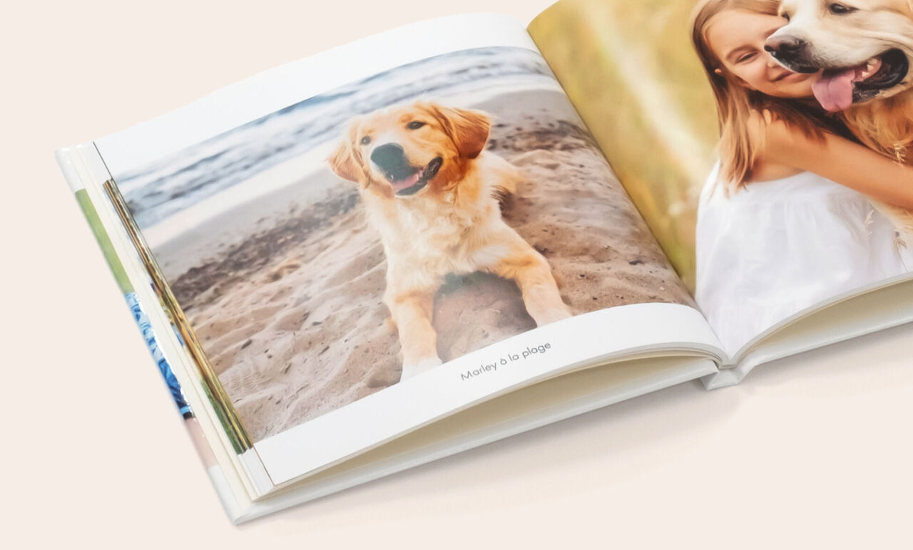 Mini livre photo carré ouvert avec les photos d'un chien