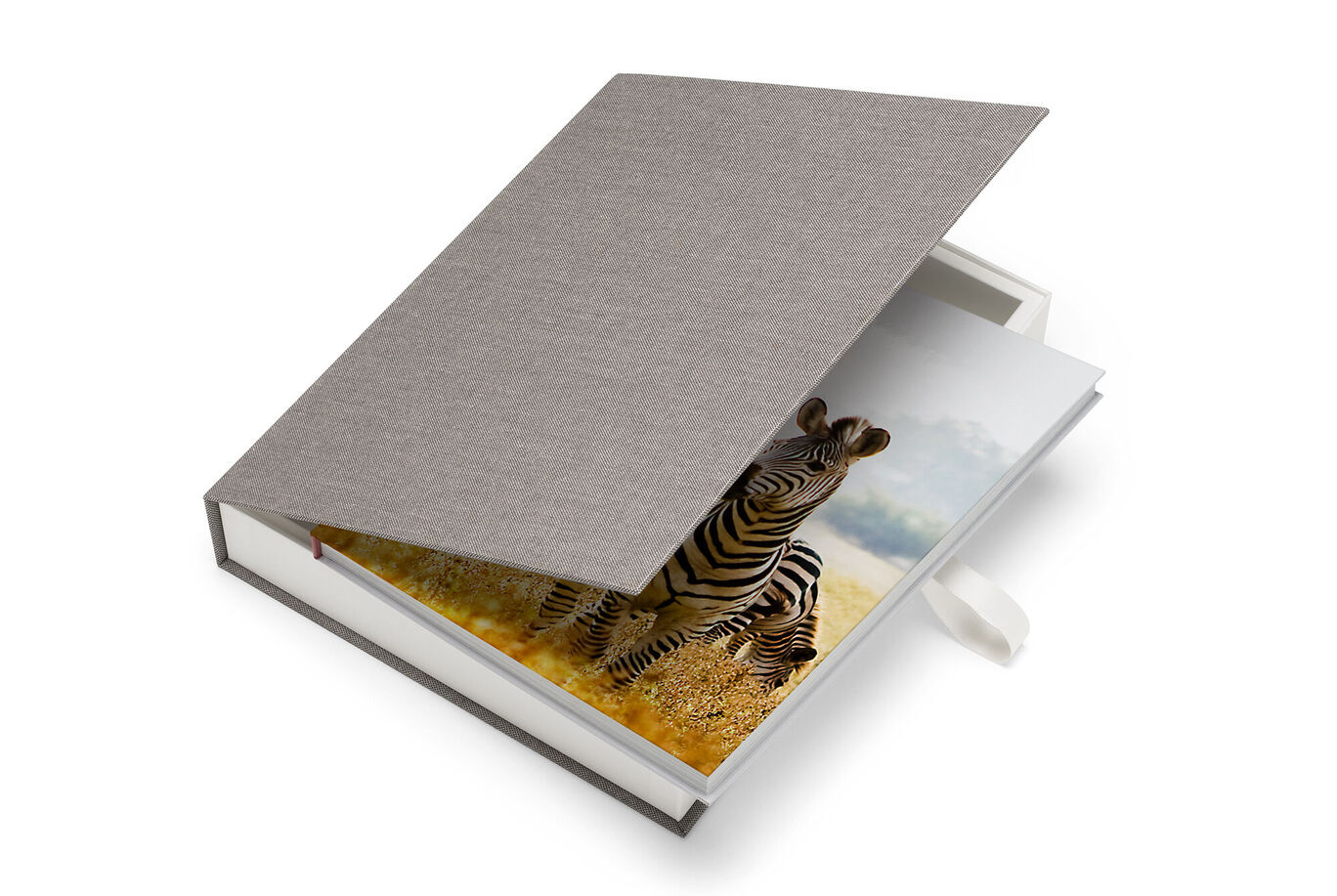 Un CEWE livre photo ouvert avec un zèbre sur la première page dans un environnement chaleureux.