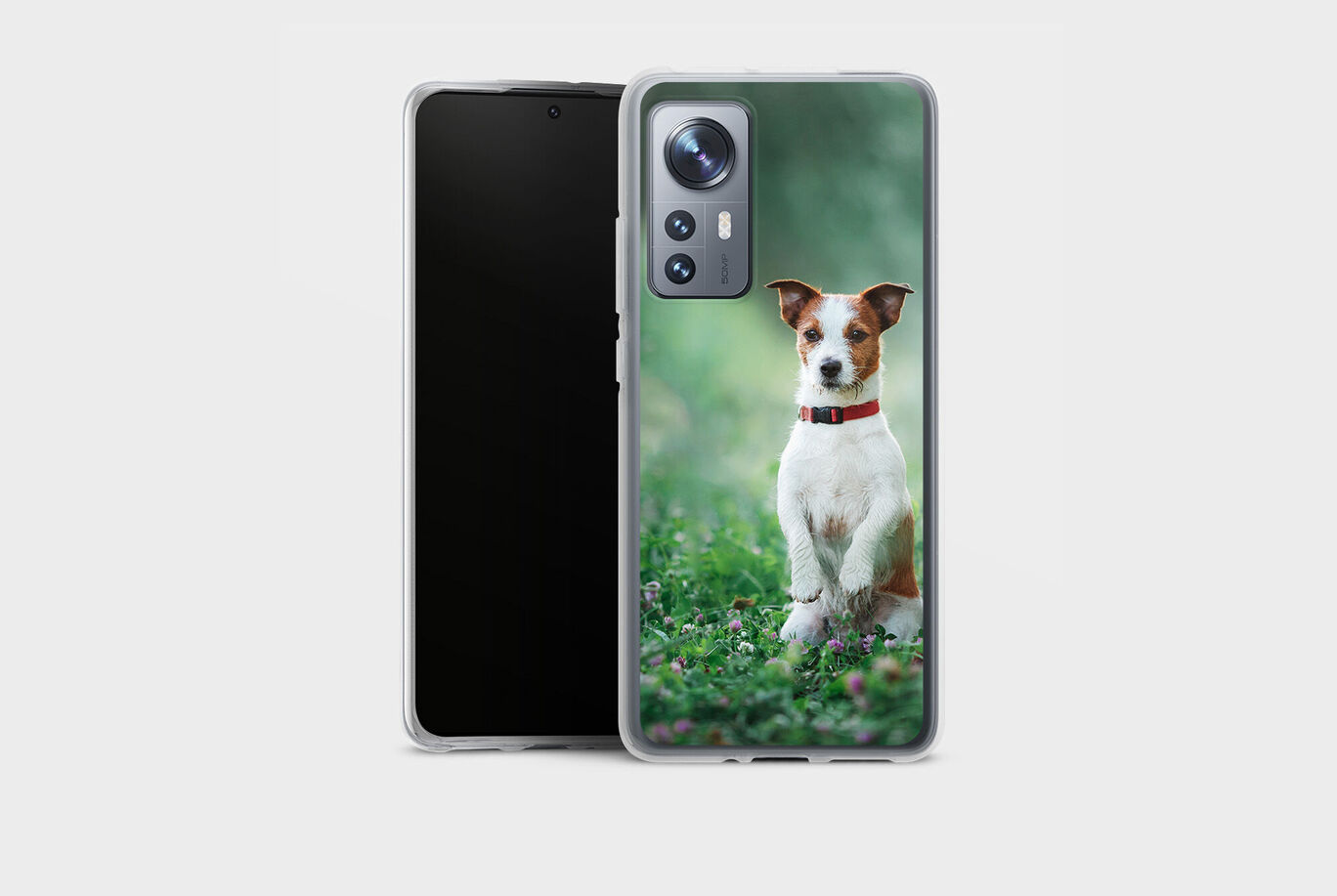 Un chien joyeux est assis sur une pelouse fleurie et sourit.