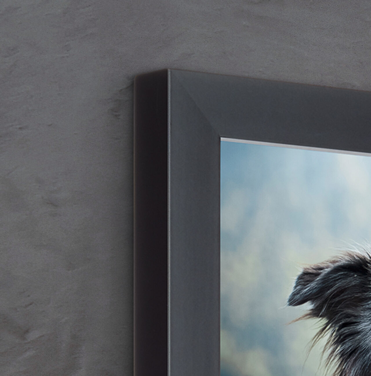 Gros plan d'une photo d'un chien soigneusement encadrée.