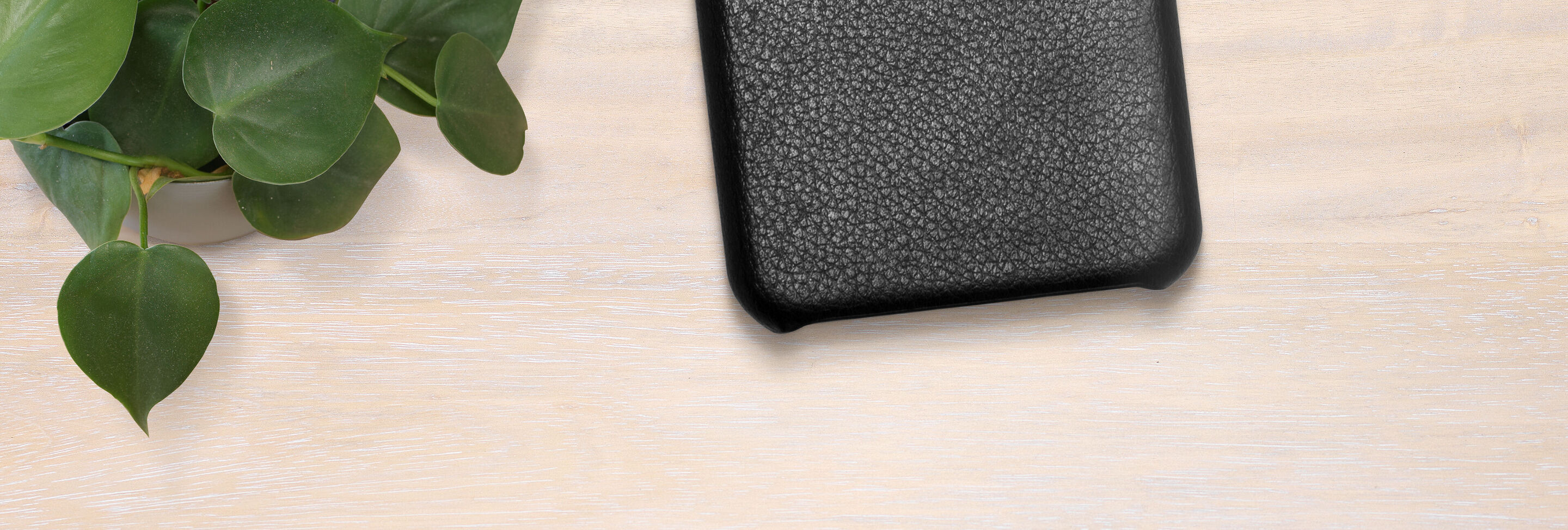 Un étui noir texturé sur un fond de bois clair, à côté une plante verte