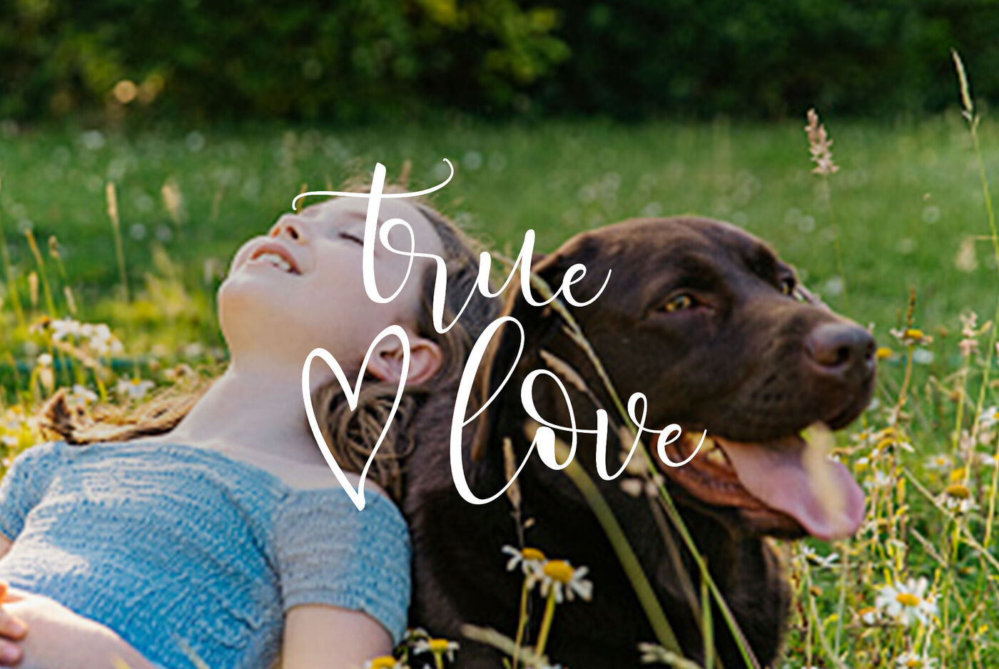 Une fille est heureuse dans l'herbe à côté d'un chien brun. Ils profitent du soleil et des fleurs.