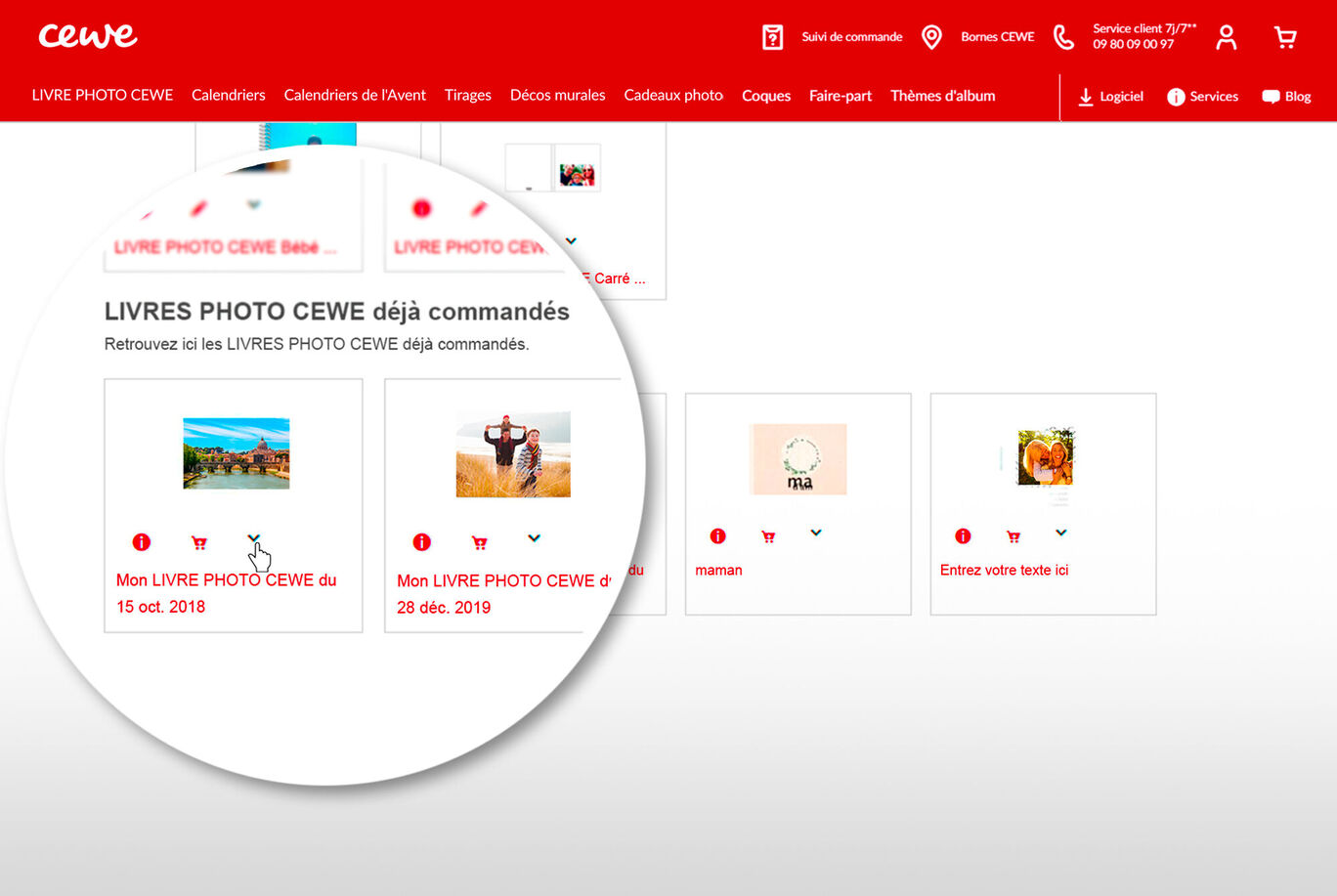 Aperçu des livres photos CEWE commandés sur le site web.
