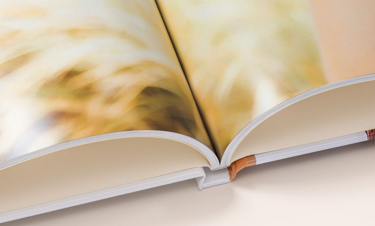 Zoom sur la reliure classique d'un grand livre photo paysage