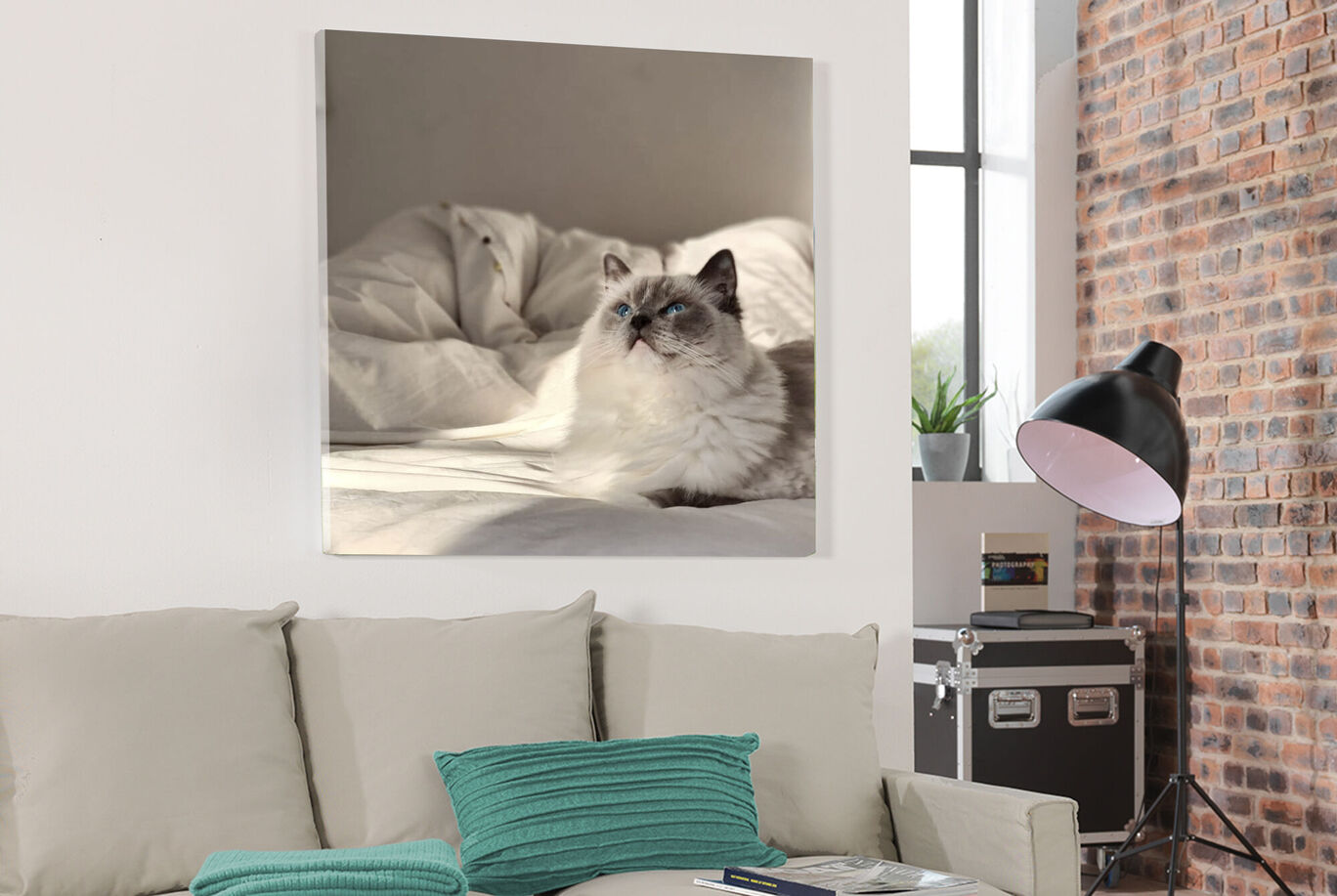 Ambiance confortable avec un chat sur le lit dans une pièce lumineuse.