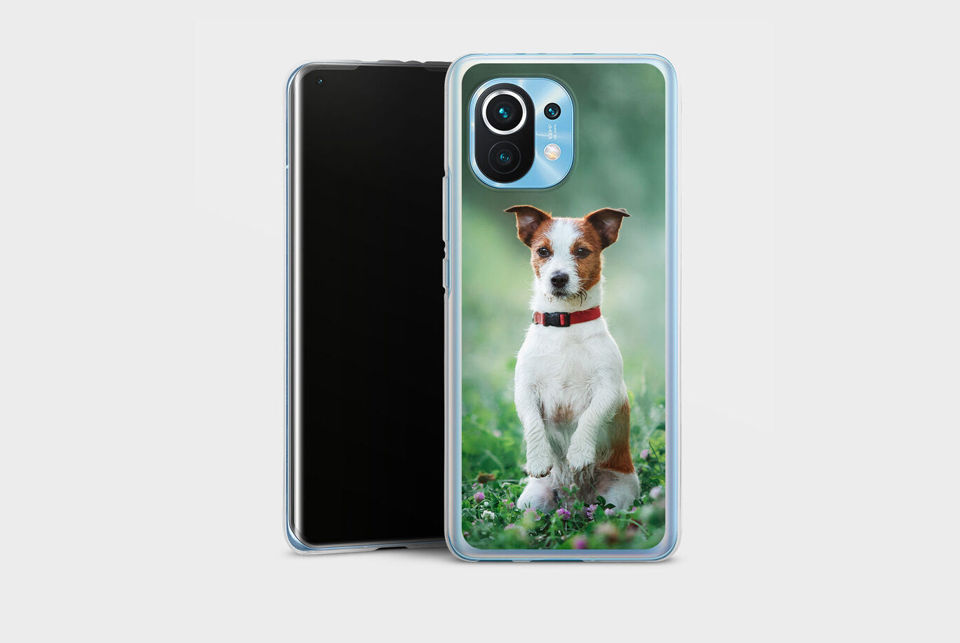 Un chien mignon est assis sur une pelouse et sourit.