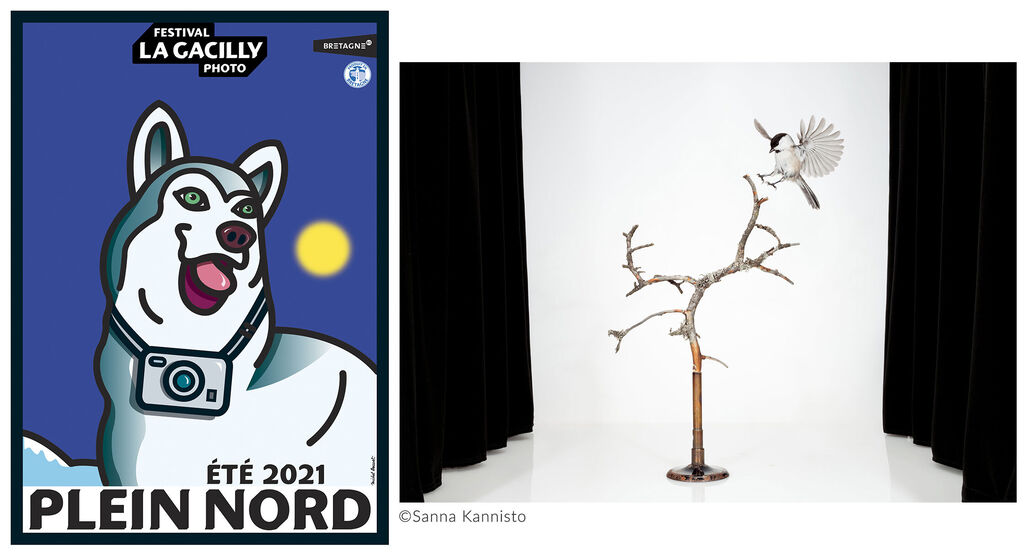 Une illustration stylisée d'un chien avec une caméra autour du cou, sur un fond bleu et un soleil jaune.