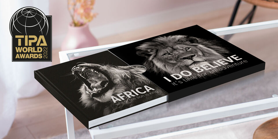 Un album photo CEWE montre un lion avec la gueule ouverte et un autre lion posé tranquillement. Le titre souligne l'esprit d'aventure.