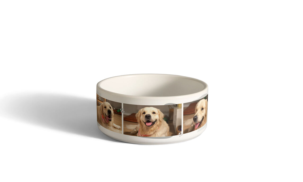 Gamelle pour chien personnalisée avec une mosaïque de portraits du chien sur fond blanc