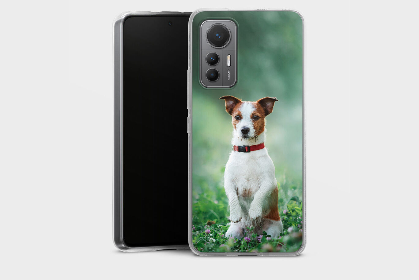 Un chien avec un collier rouge est fier sur une pelouse