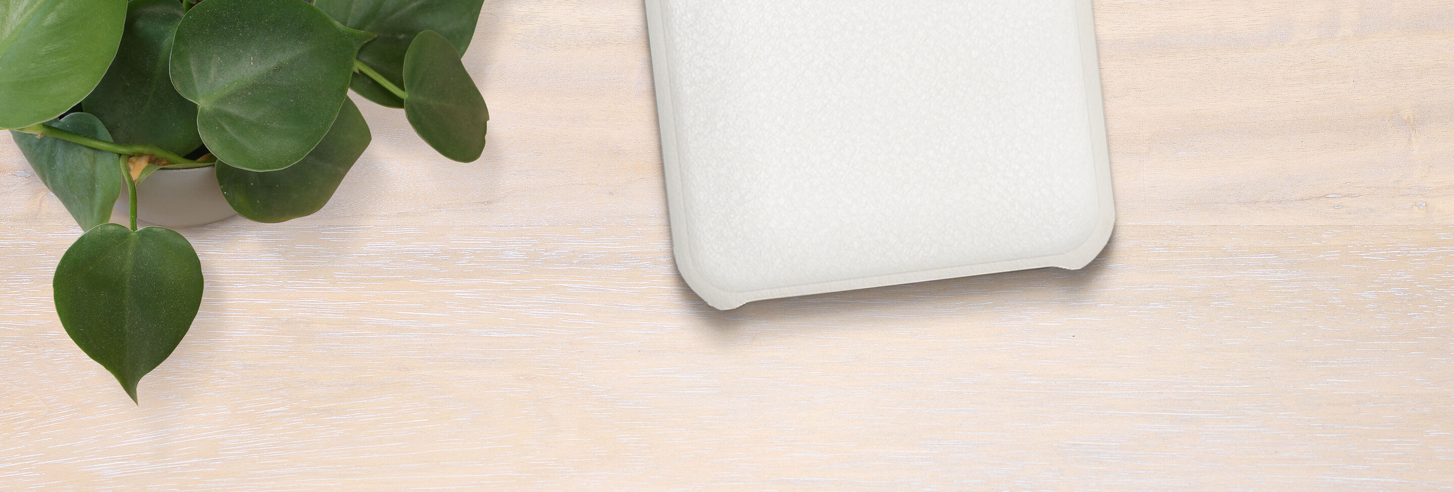 Housse de smartphone blanche sur une table claire avec des feuilles vertes en arrière-plan.