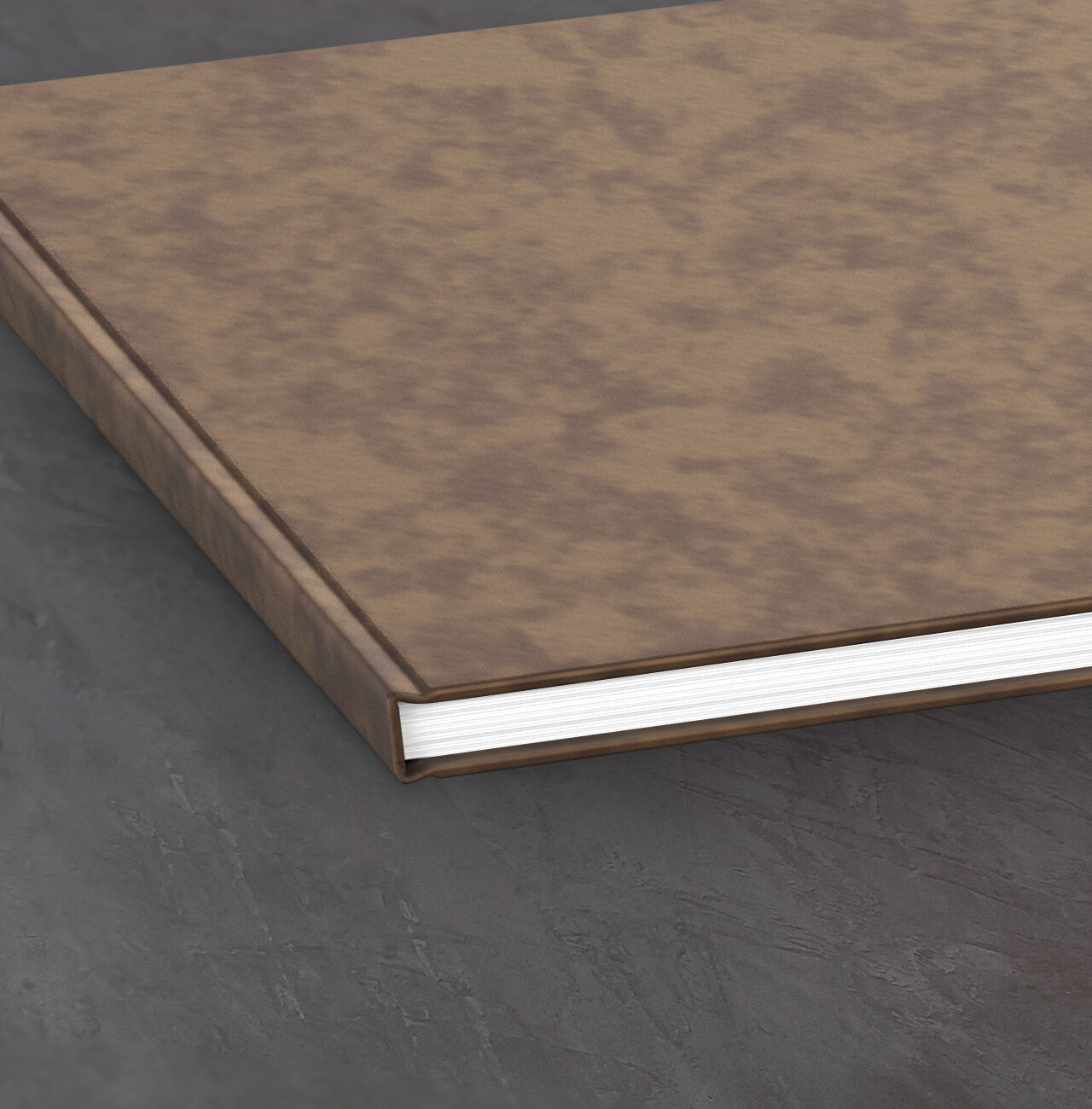 Couverture en cuir marron d'un Livre Photo CEWE