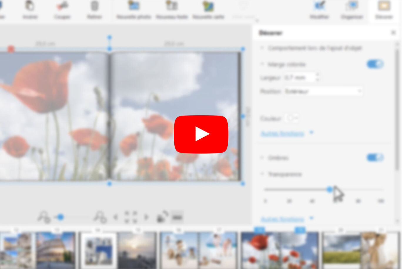 Une capture d'écran d'un livre photo CEWE avec des coquelicots rouges en avant-plan, en cours d'édition.