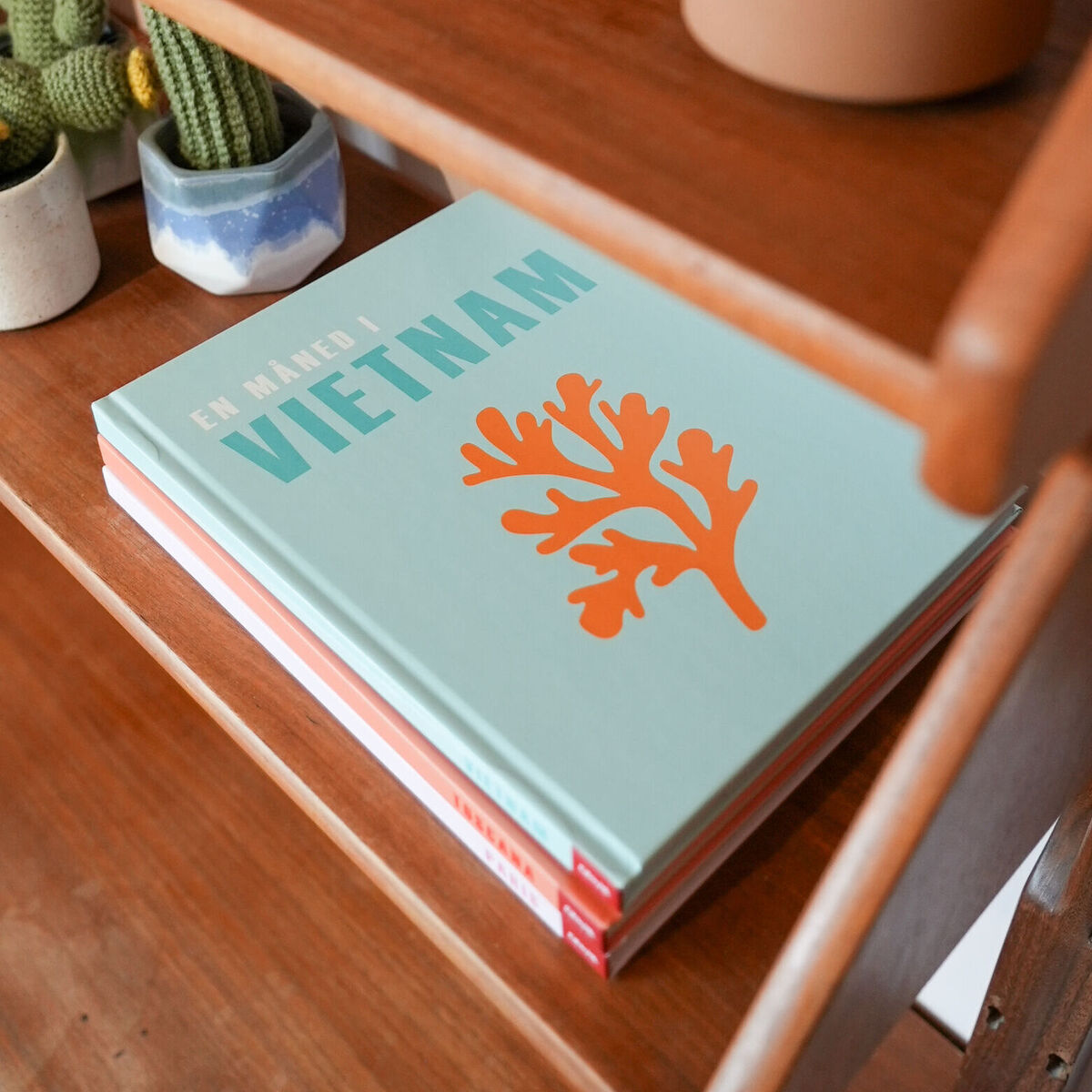 Collection livre photo Assouline comme décoration