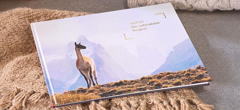 Un album photo CEWE sur un fond clair, avec une image d'un alpaga dans les montagnes sur la couverture.