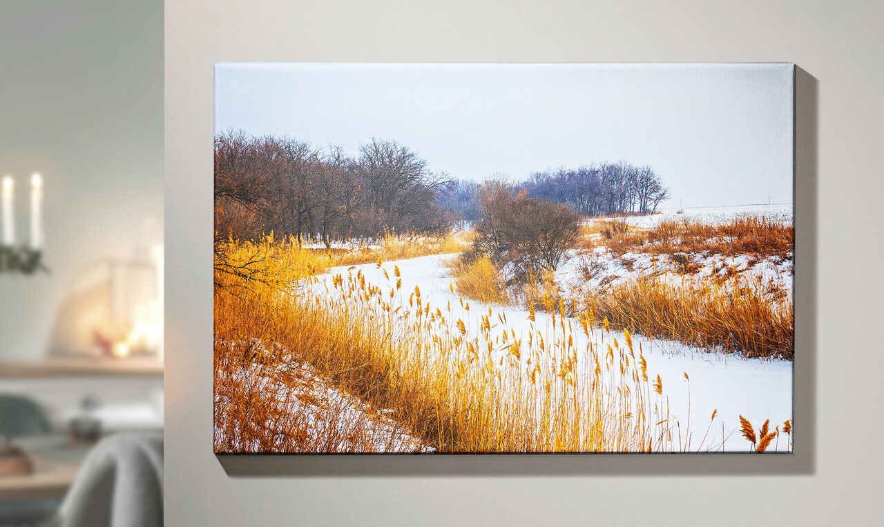 Magnifique image d'un paysage d'hiver avec une rivière enneigée et des roseaux jaunes.