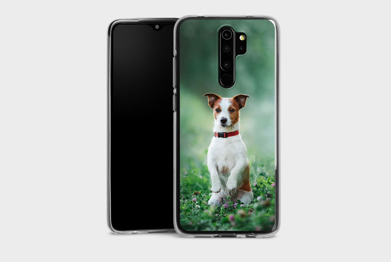 Photo d'un chien joyeux, brun et blanc, avec un collier rouge devant un fond naturel flou.