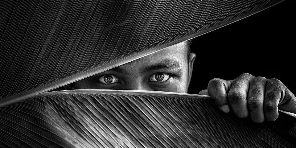 Concours photo CEWE Photo Award