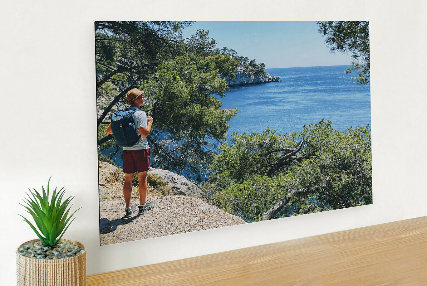 Un homme regarde la côte, entouré d'arbres.