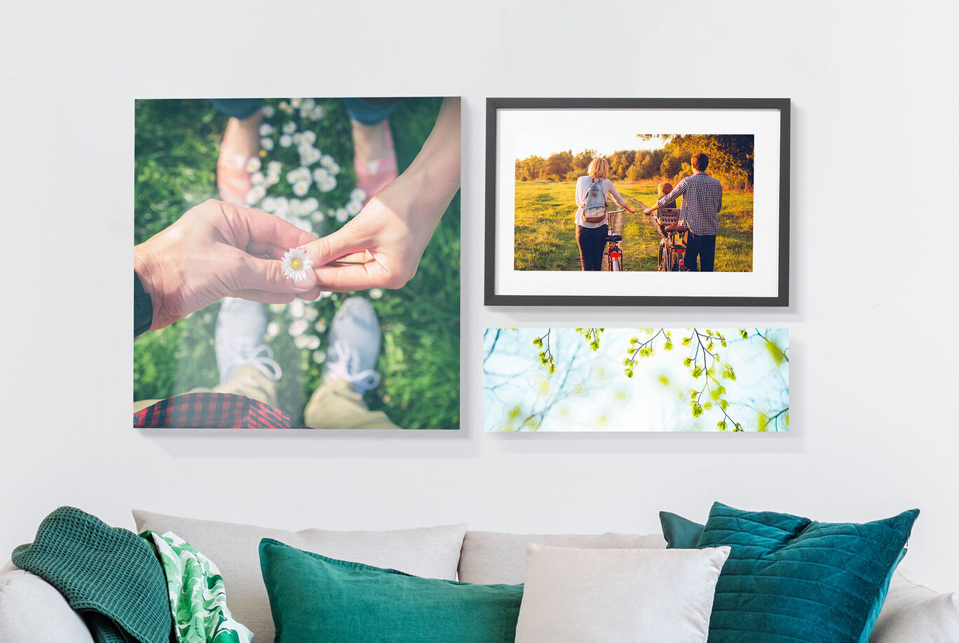 Deux images sur un mur avec un doux fond vert.