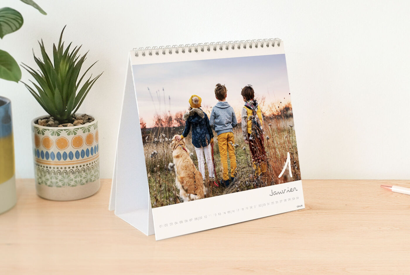 Trois enfants se tiennent sur une pelouse et regardent le coucher de soleil. Un chien est avec eux.