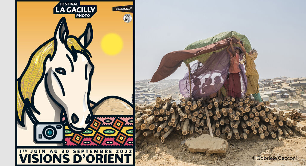 Une affiche créative pour le festival La Gacilly avec un cheval, un coucher de soleil et un tapis coloré. Le visuel témoigne de la passion pour la photographie.