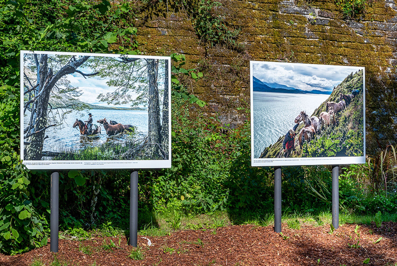 Deux grands cadres photo avec des images de nature et d'animaux au bord de l'eau et de la montagne.