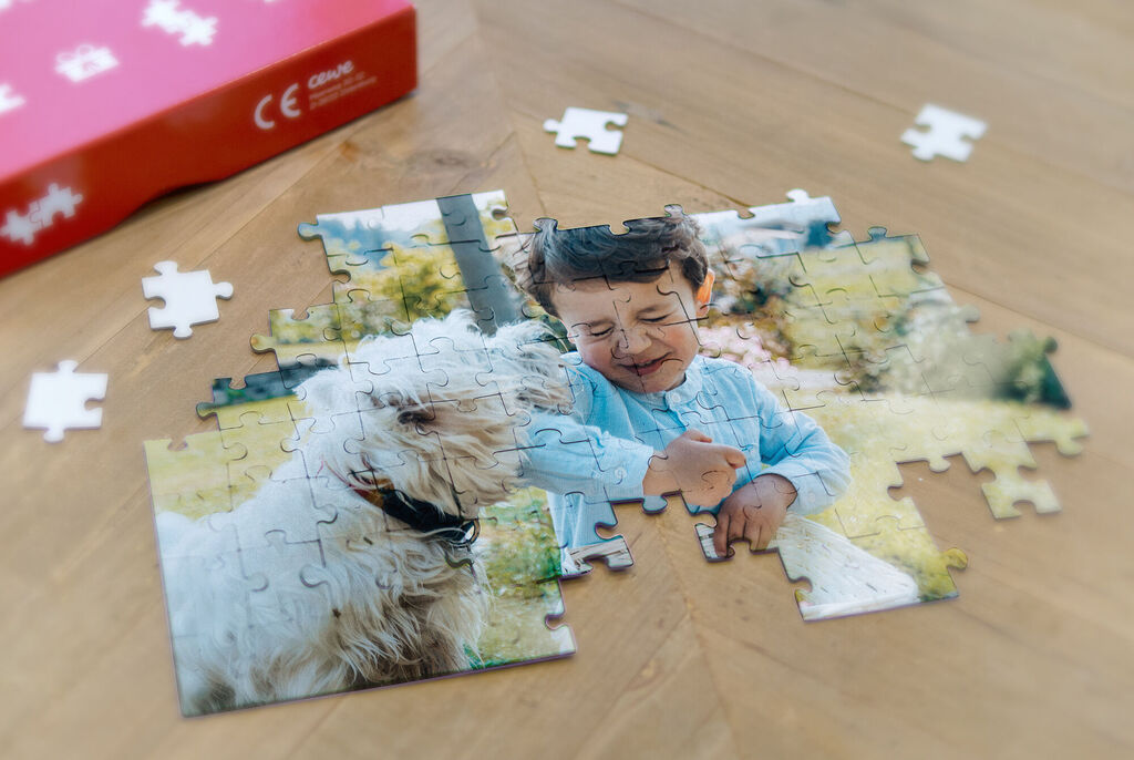 Un puzzle presque complet avec un chien et une personne à l'extérieur, deux pièces manquent.