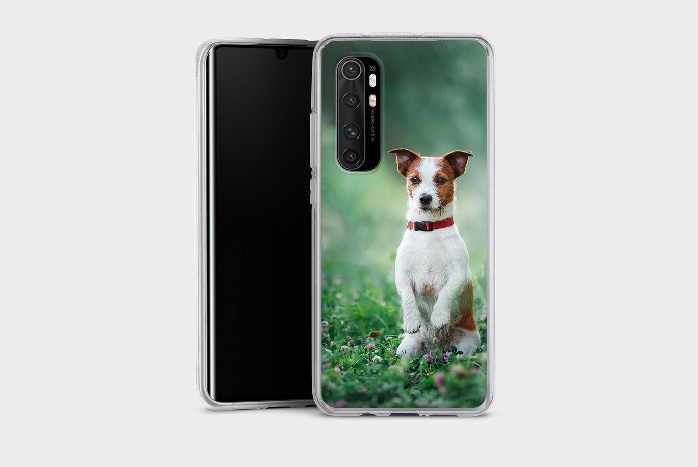 Un chien avec un collier rouge assis dans l'herbe