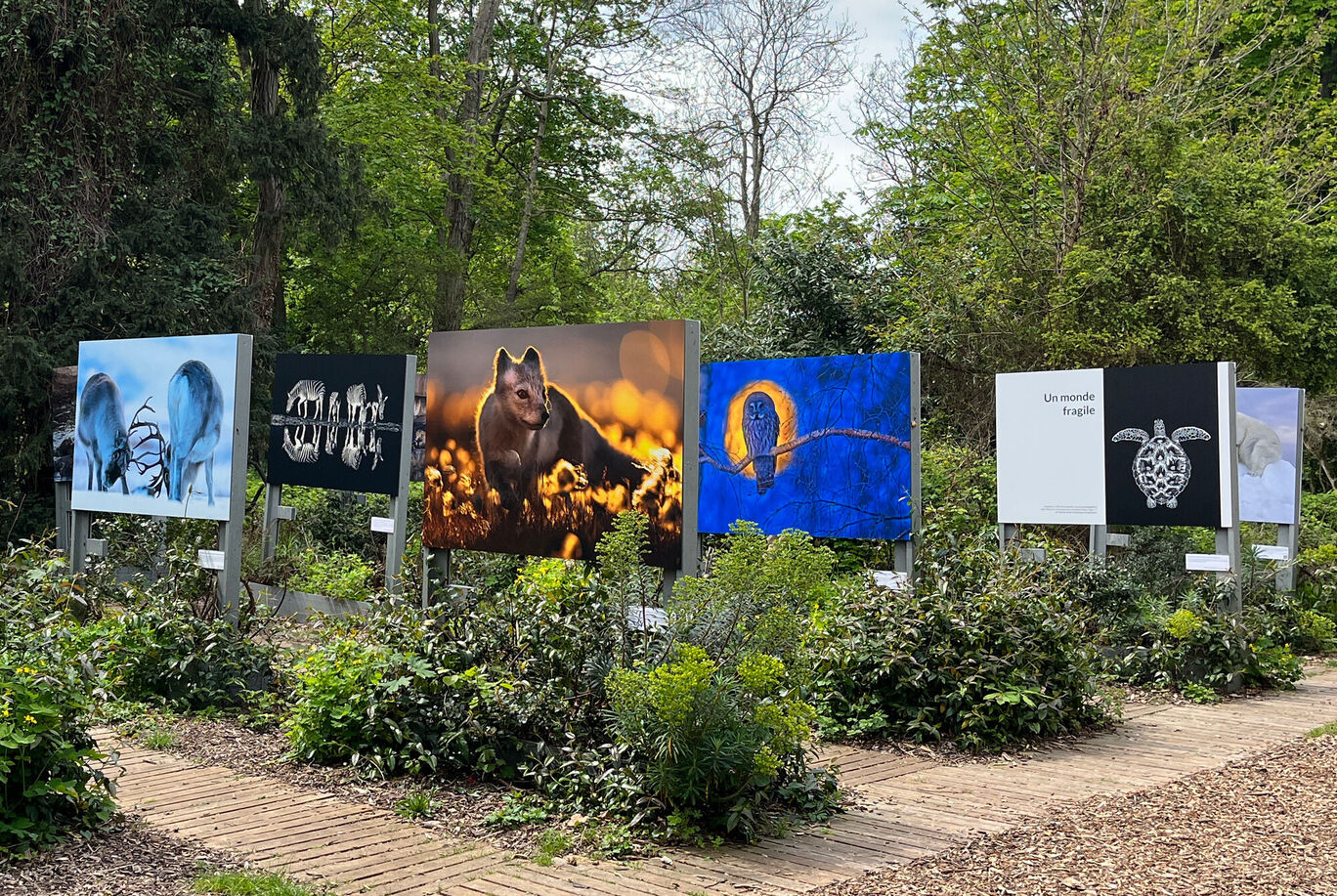 Œuvres d'art dans une exposition en plein air entourées de verdure.