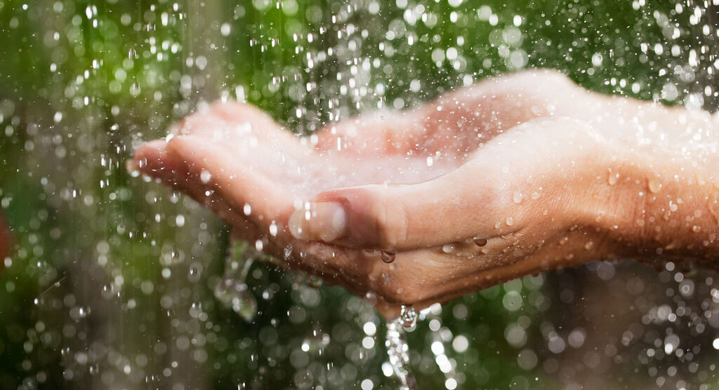 Des mains tenant de l'eau dans la nature, entourées de gouttes pétillantes.