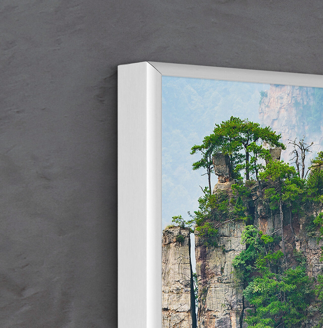 Un arbre vert sur un promontoire rocheux dans la nature