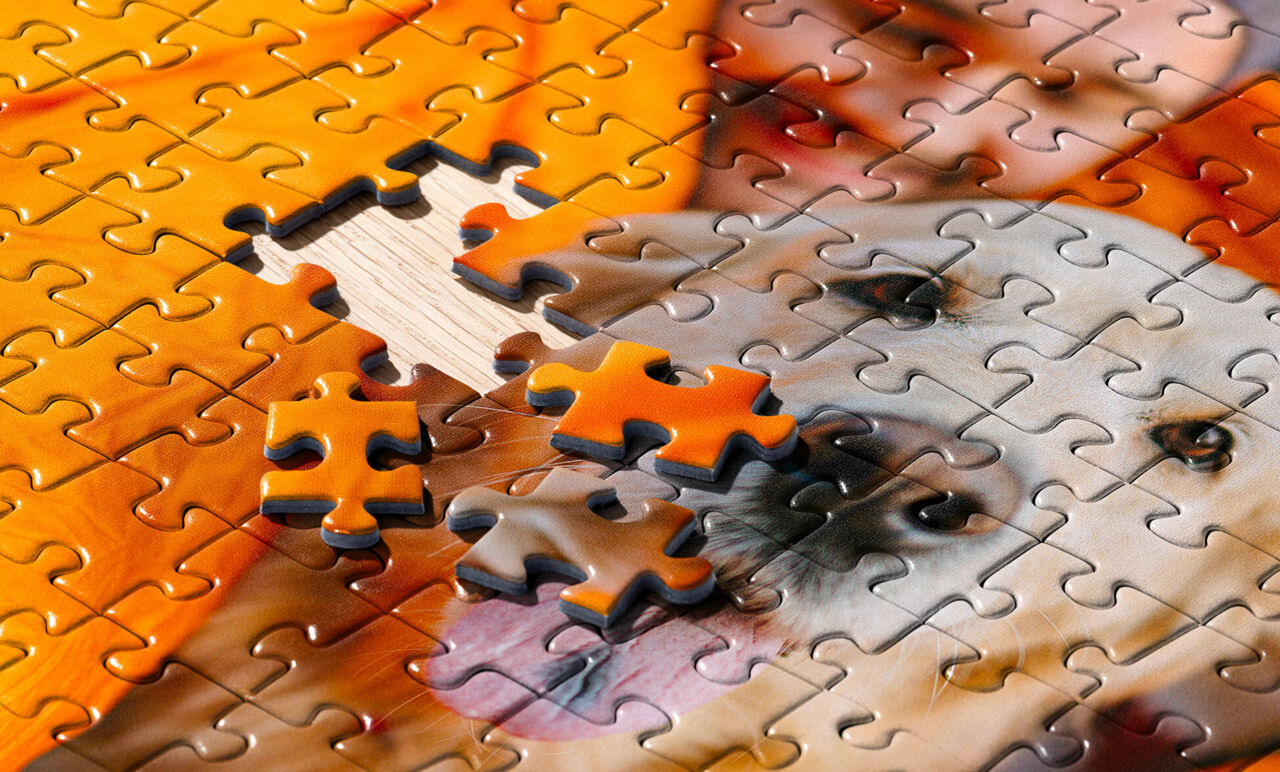 Gros plan sur un puzzle personnalisé avec un chien (bientôt terminé)