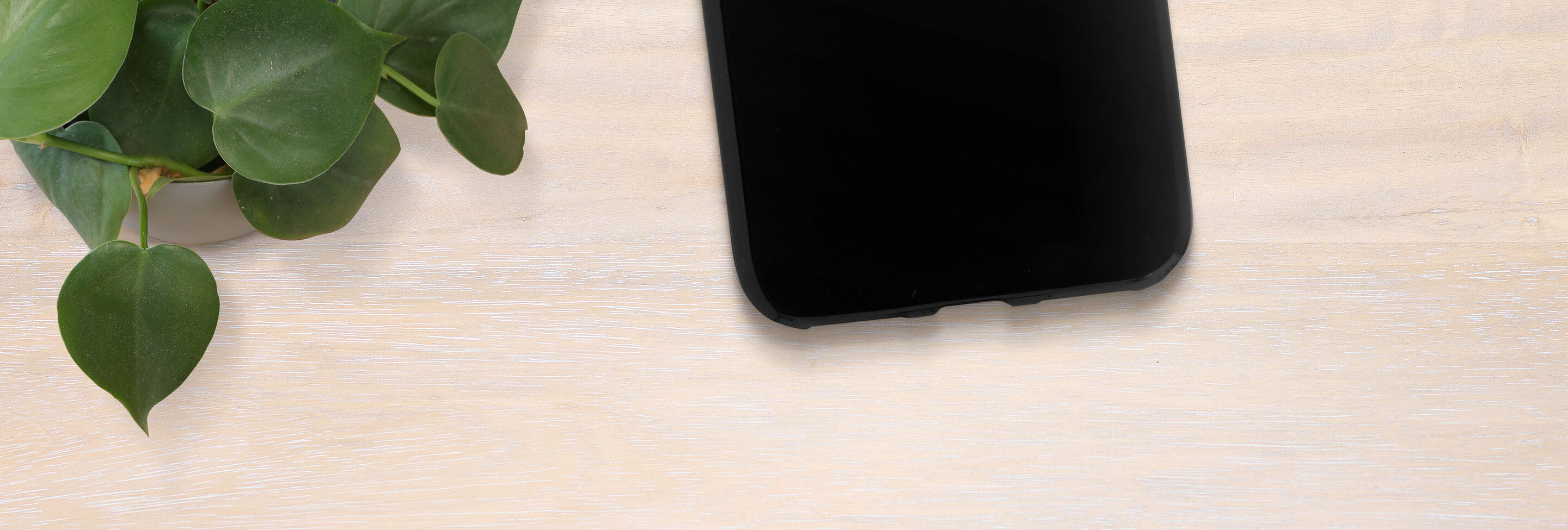 Smartphone noir sur une surface en bois avec une plante verte à côté