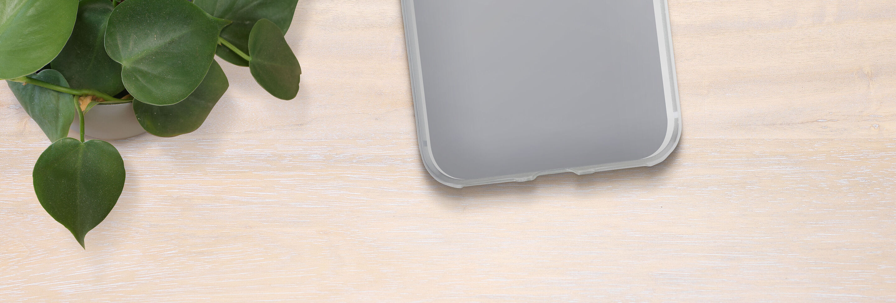 Une housse smartphone grise claire sur une table en bois clair, une plante verte complète l'image.