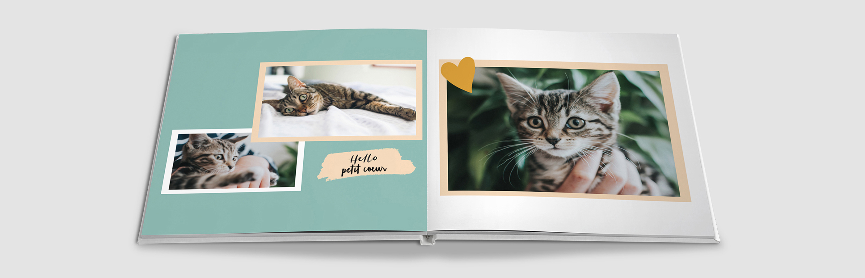Un album photo CEWE plein d'amour avec des photos d'un chat sur une page verte. Le chat regarde la caméra avec de petites photos de lui.
