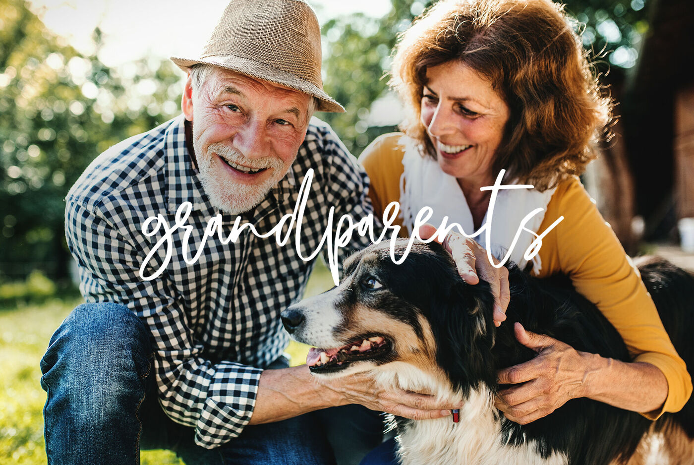 Un couple âgé est à genoux dans un pré et caresse un chien