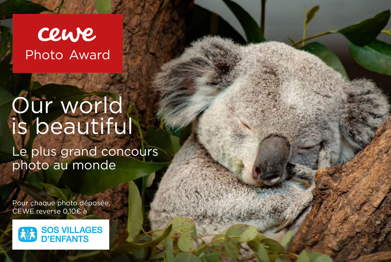 Un koala dormant est confortablement assis entre des feuilles vertes. Il a l'air paisible avec un fond créatif.