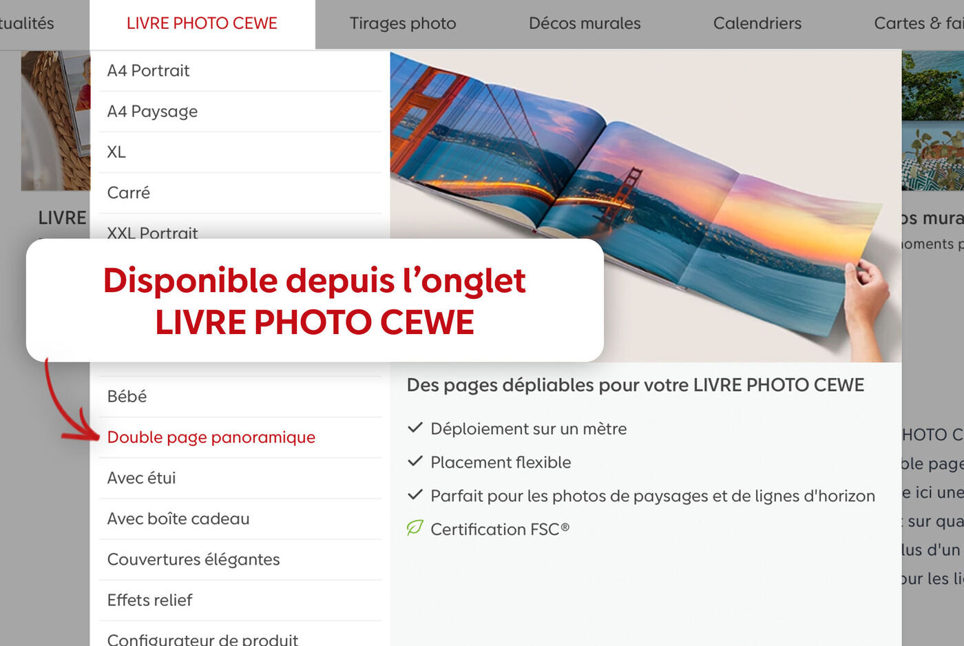 Guide pour créer un livre photo double page panoramique dans le menu Livre Photo CEWE du logiciel