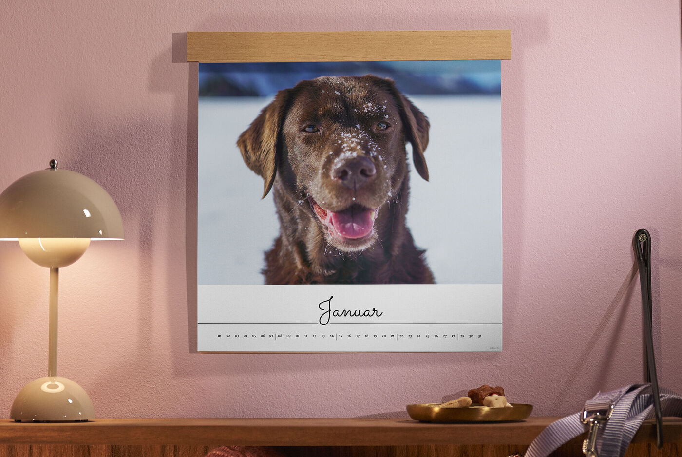 Un chien joyeux avec de la neige sur le pelage regarde l'appareil photo. Il est sur un calendrier mural.