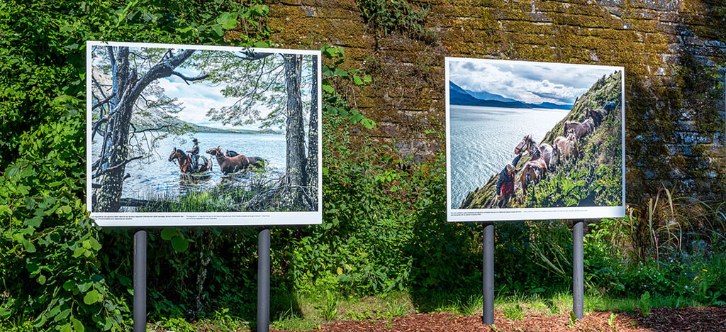 Deux grands cadres photo avec des photos de chevaux dans la nature, entourés de plantes.