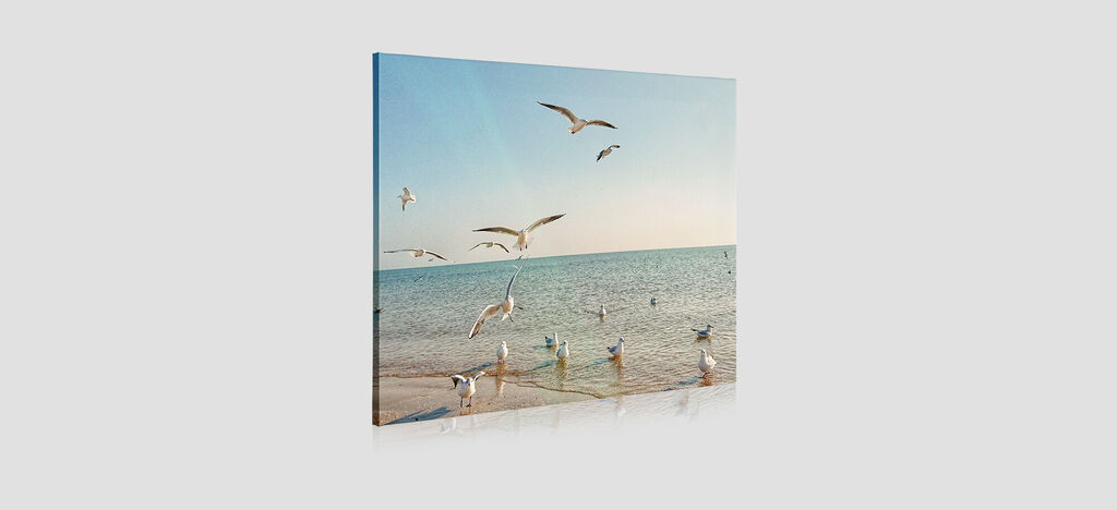 Des oiseaux survolent une plage ensoleillée avec des eaux scintillantes.