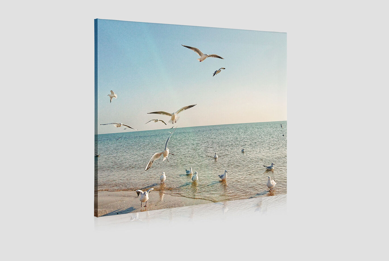 Des oiseaux volent au-dessus des eaux scintillantes de la mer au coucher du soleil.