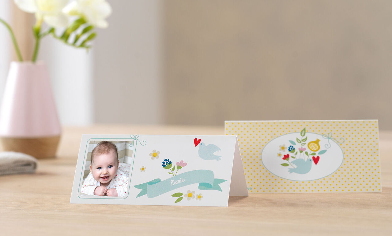 Cartes Cewe;12101