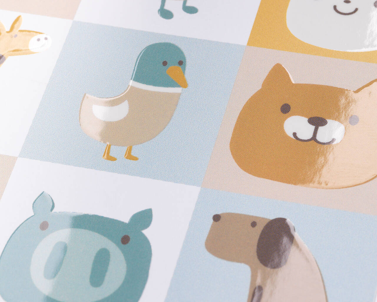 Illustrations d'animaux colorés sur un poster avec des motifs joyeux.