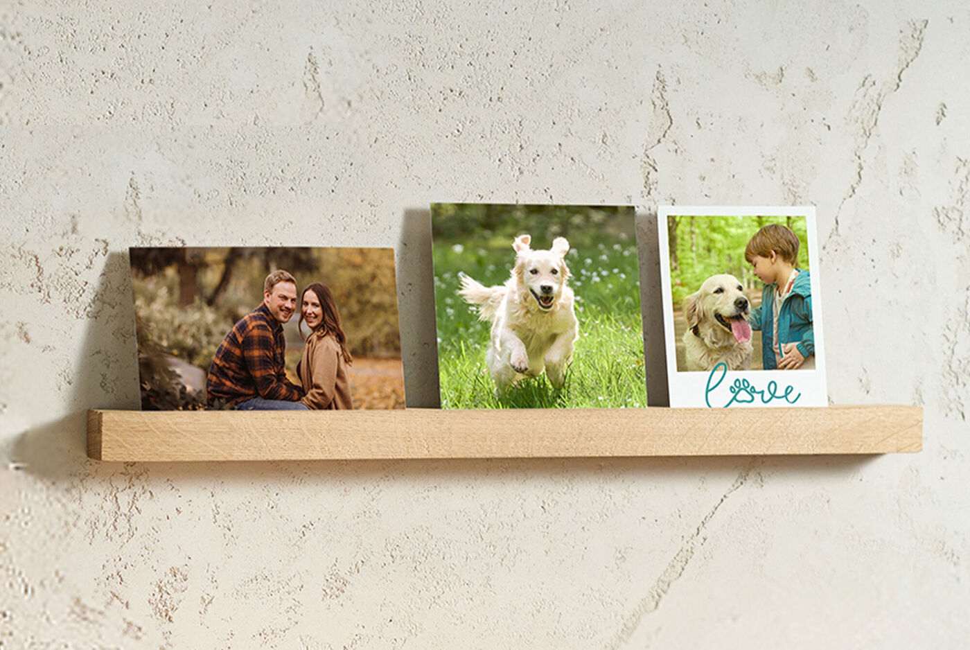 une étagère photo Cewe accrochée au mur avec des photos de la famille et des animaux domestiques
